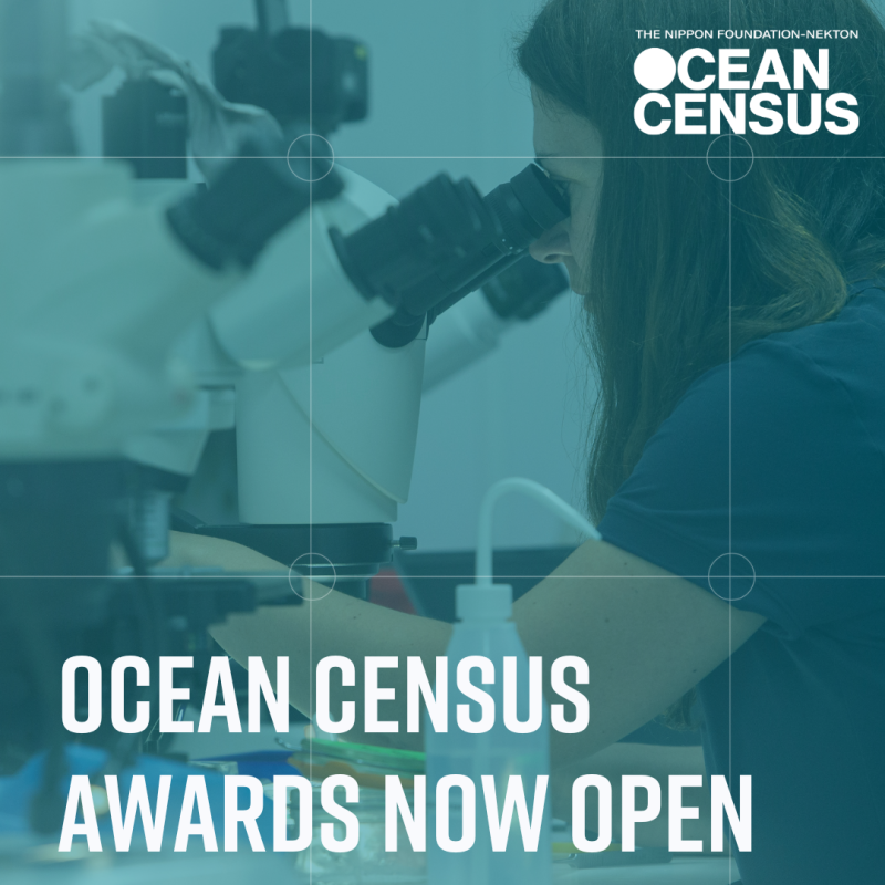 Applications for the Ocean Census Awards are now OPEN!